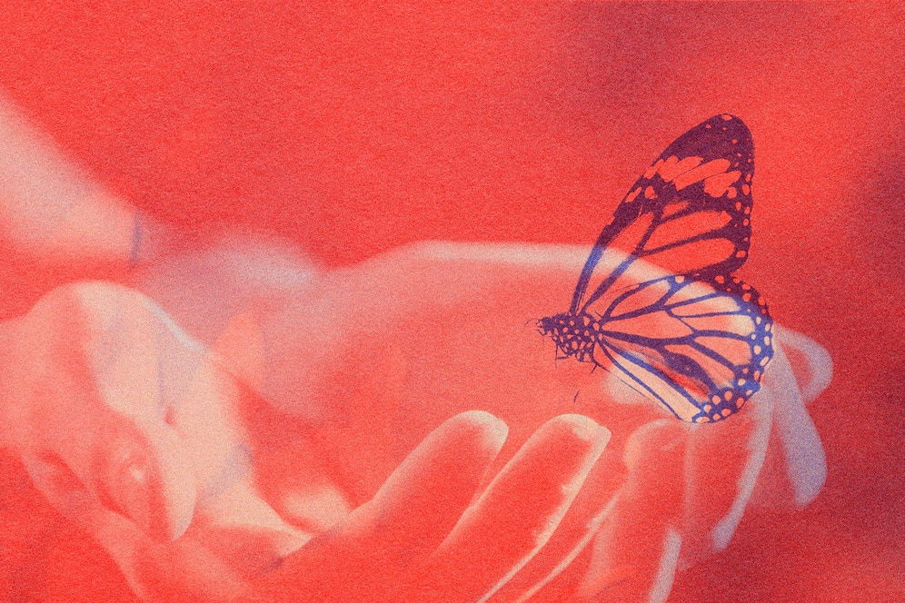 Podcast: La mariposa azul con María Salgado