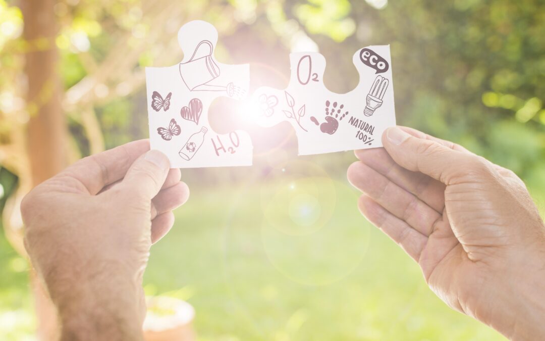 Gestión emocional en la doble excepcionalidad: acompañamiento desde el Coaching Emocional especializado by María Montero Villalba