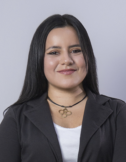 Diana Sanchez Sarmiento 14168