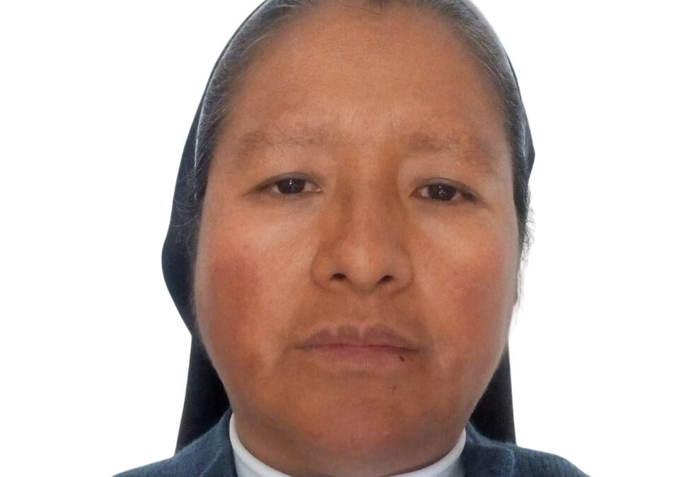 Apolinaria Clemente Chilo 14279