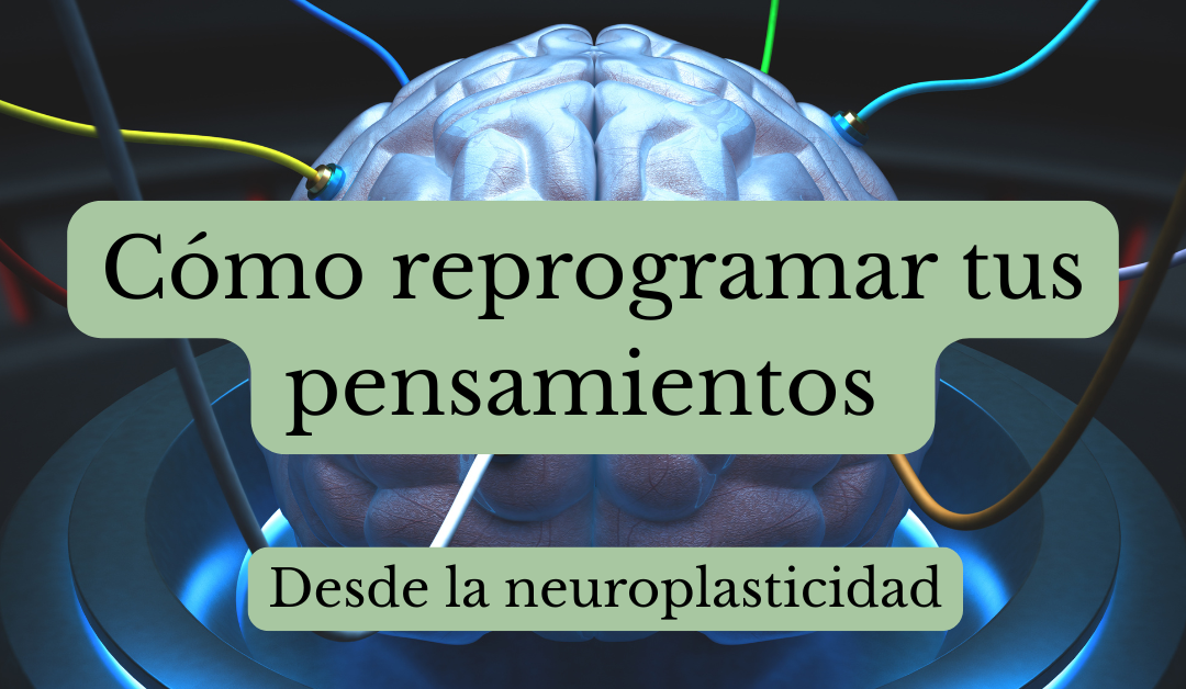 Cómo reprogramar tus pensamientos desde la neuroplasticidad by Luisana Bermúdez