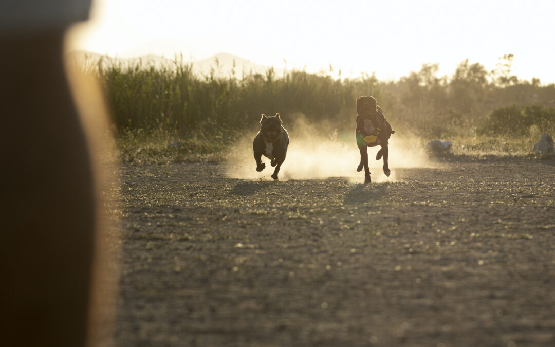 Con poco se puede hacer mucho by Álex Jalón Vázquez