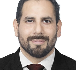 Royer Alef Torres Montalvan 14475
