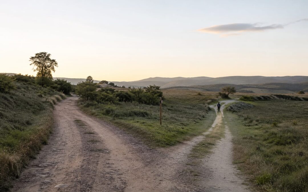 El deseo de cambiar no es lo mismo que cambiar by Eva María Martínez Sordo